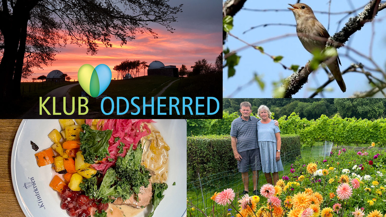 Klub Odsherred | Book oplevelser