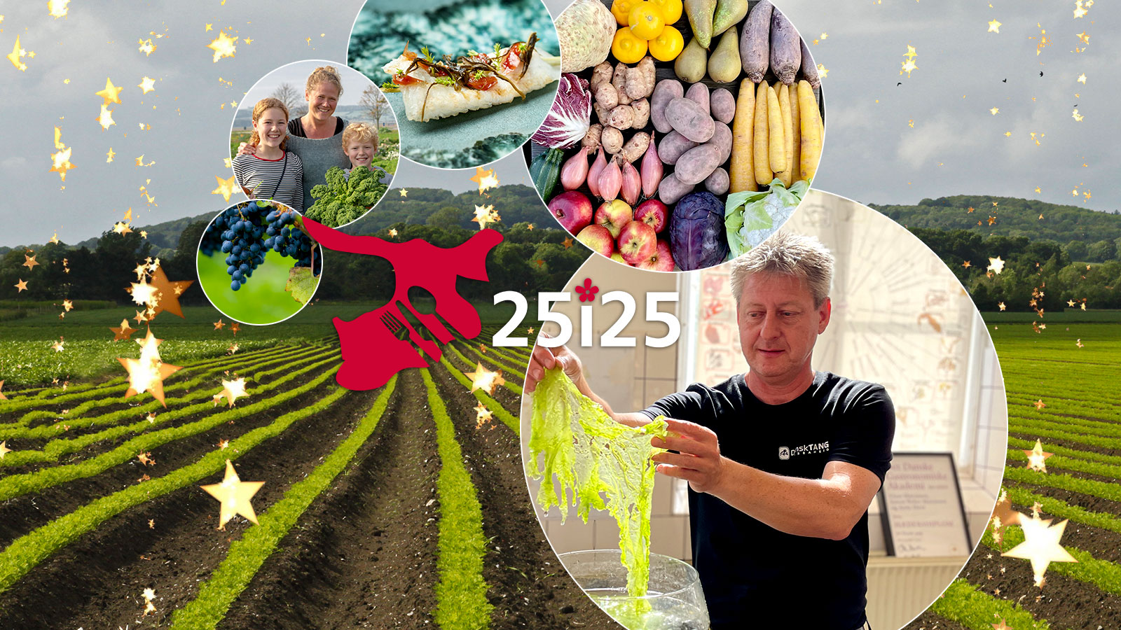 25i25 | Gastronomi | Smagsoplevelser | Råvarer | Fødevarer | Odsherred | Sjælland | Danmark