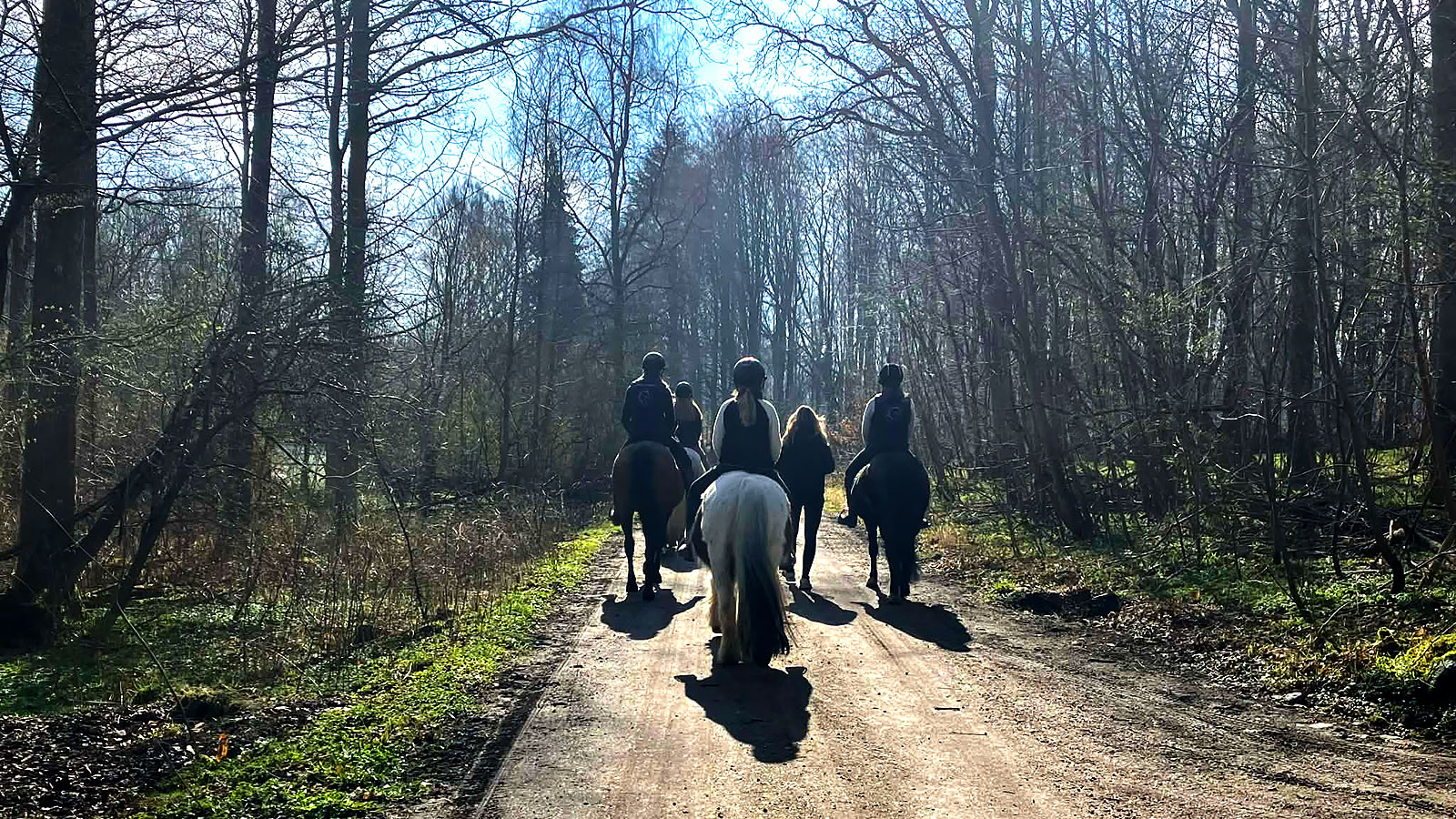 Hesteturisme for alle | Odsherred | Sjælland | Danmark