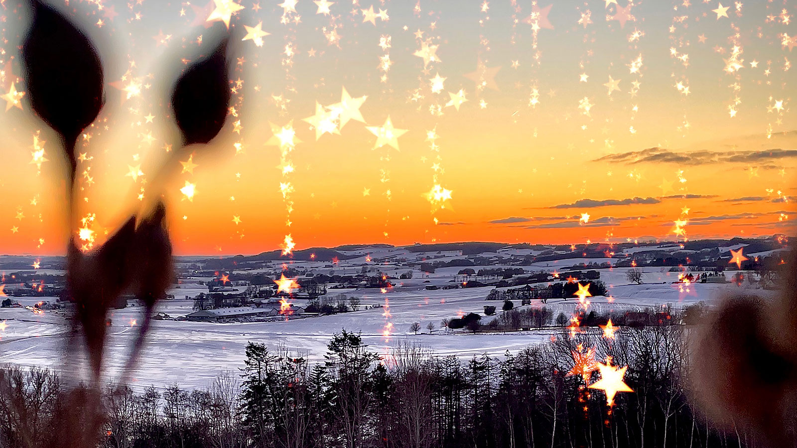 Jul i Odsherred | 2026 | Julemarkeder | Julestuer | Juleaktiviteter | Julehygge | Julebasarer | Juletræet tændes | Sjælland | Danmark
